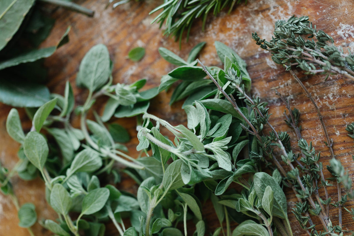 Wasatch Sage