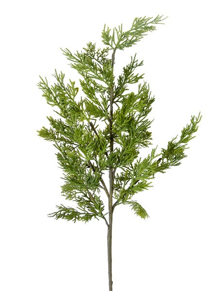 30" Cypress Spray