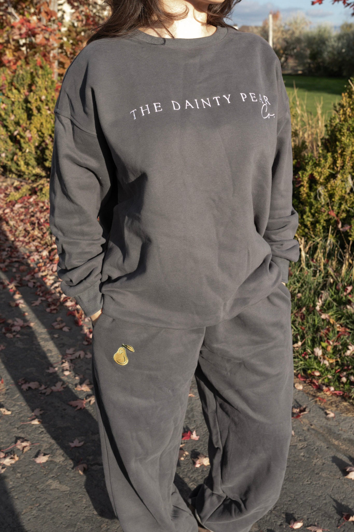Top- Dainty Pear Co. Embroidered Sweatshirt