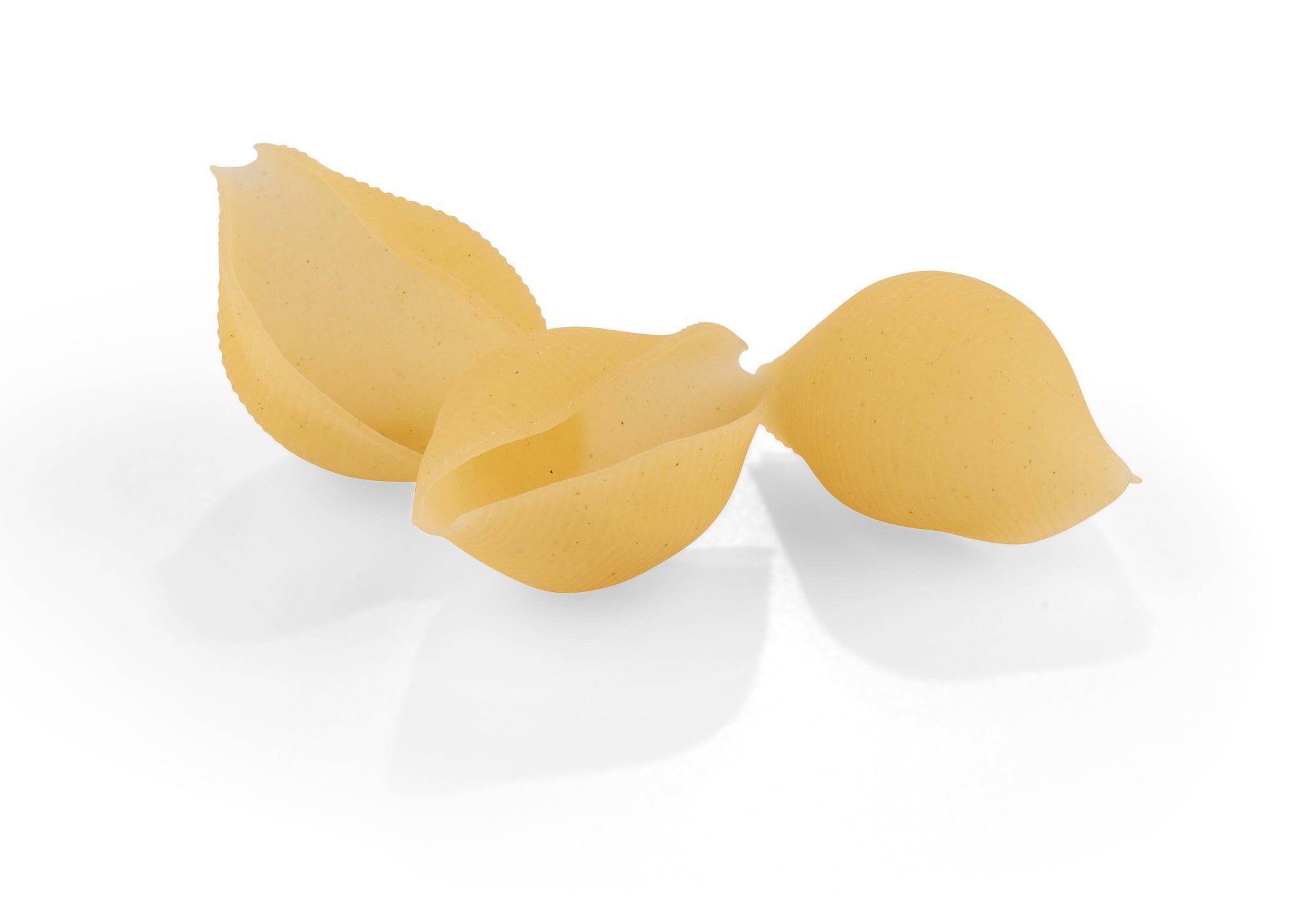 Gluten Free Conchiglioni by La Fabbrica della Pasta