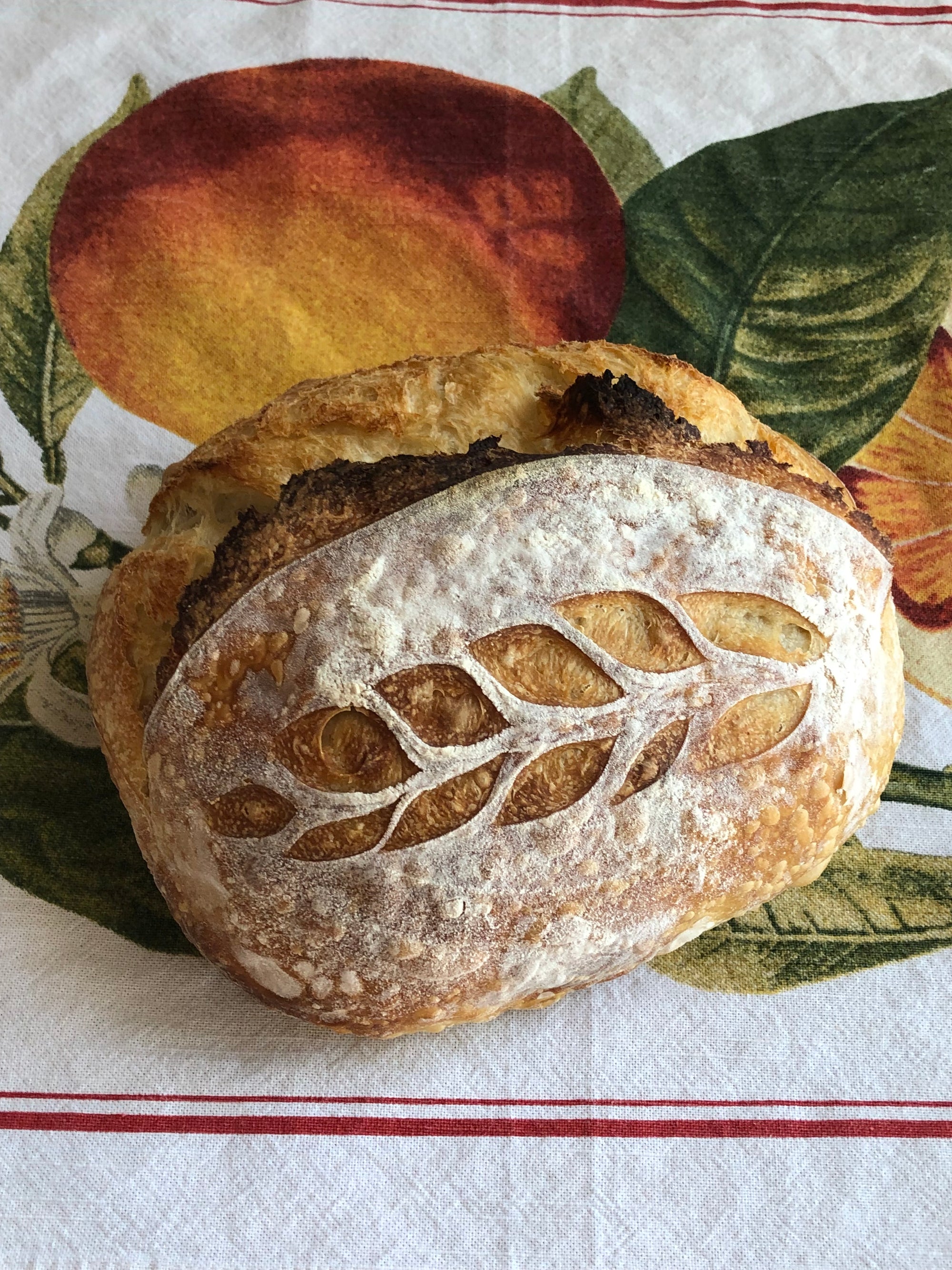 July 9th- Sourdough Bread-making Class with Scott’s Bread