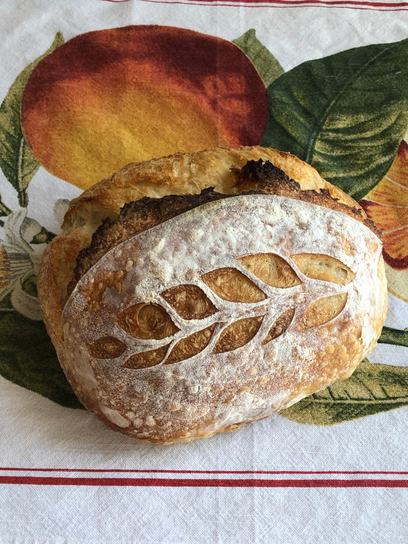 July 9th- Sourdough Bread-making Class with Scott’s Bread