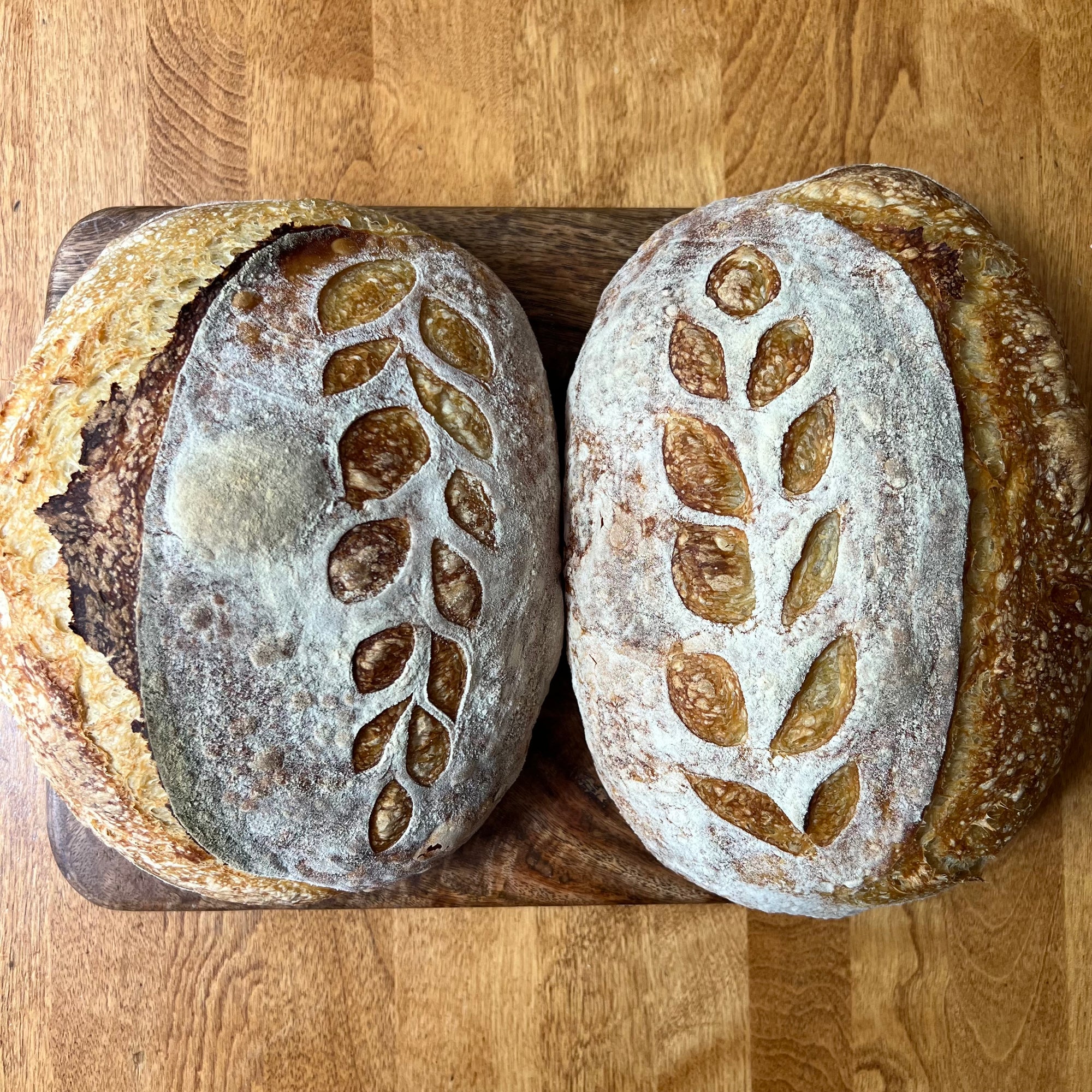 July 9th- Sourdough Bread-making Class with Scott’s Bread