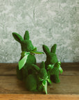 Moss Rabbits