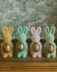 Bunny w/Gold Egg 6"