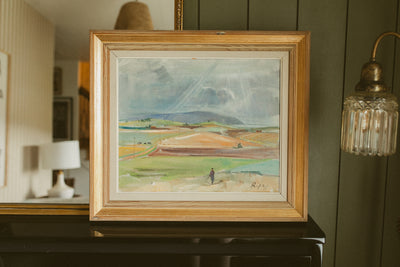"Sunlit Fields and Dramatic Sky"
