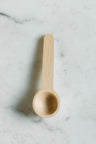 Spice Spoon