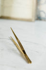 Gold Skinny Tongs