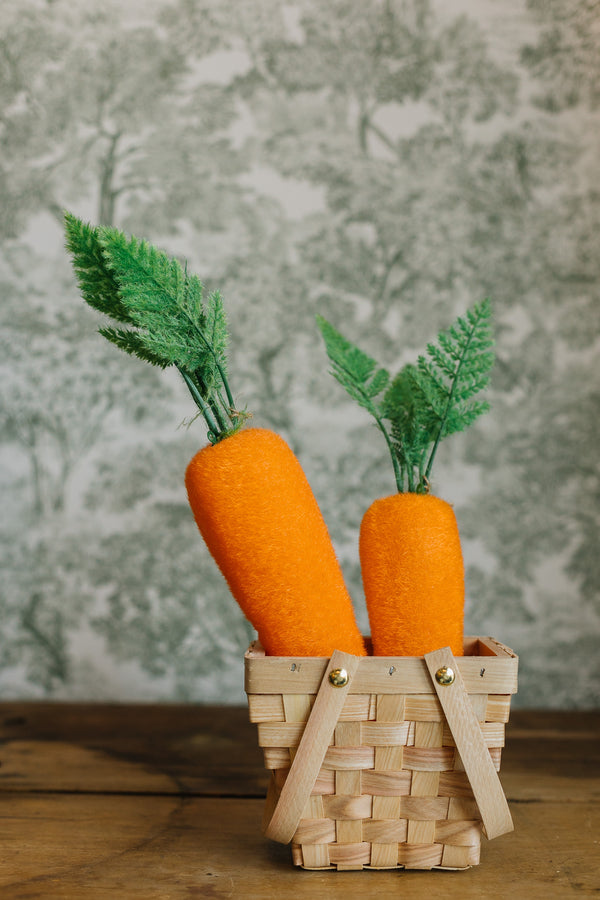 Flocked Orange Carrots