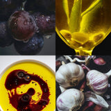 The Pantry Starter
